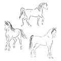Set of fine horses outlines - vector collection, beautiful horse, vector sketch illustration Royalty Free Stock Photo