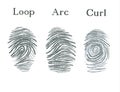 Set of fingerprints icons, id security identity fingerprint. Loop, arc, curl