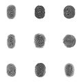 Set of fingerprints, vector illustration isolated on white background