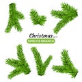 Set of fir branches. Christmas tree or pine branch vector evergreen illustration. Fir isolated holiday decoration Royalty Free Stock Photo