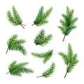 Set of fir branches isolated on white background. Christmas tree Royalty Free Stock Photo
