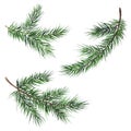 Set Fir branches New Year Christmas watercolor Royalty Free Stock Photo