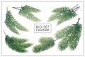 Set of fir branches.Fir-tree Branch Isolated,Element for christmas or New Year design.natural green symbols. Vector Royalty Free Stock Photo