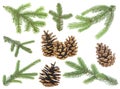 Set of fir tree branches and pine cones isolated on white background. Christmas decoration Royalty Free Stock Photo