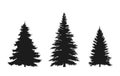 Set of fir tree silhouette. Christmas and New Year design elements. Christmas trees Royalty Free Stock Photo