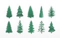 Set of fir tree with snow texture. Pine and spruce xmas vector illustration isolated on white background. Simple flat Royalty Free Stock Photo