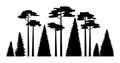 Set of fir trees spruce and pine silhouette, coniferous wood horizontal banner black and white monochrome vector Royalty Free Stock Photo