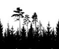 Forest silhouette of coniferous trees. Vector illustration Royalty Free Stock Photo