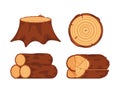 Set of Firewood, Wooden Tree Logs, Round Slices, Stump, Saw Cut Tree Trunk Isolated on White Background. Design Elements