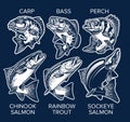 Set Of Fish Emblems Vintage Style. Carp, Bass, Perch, Chinook Salmon, Rainbow Trout, Sockeye Salmon Vector Illustrations
