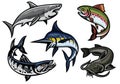 Set of fish illustration in colored Royalty Free Stock Photo