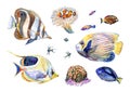 Set of fish and inhabitants of the seabed Royalty Free Stock Photo