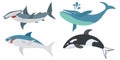 Set of fish and mammals, cartoon shark and dolphin, whale, hammerhead shark . Vector illustration Royalty Free Stock Photo