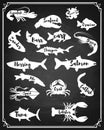 Set of Fish and sea animals silhouette on grunge background.