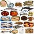 Set of fish and seafood isolated on white Royalty Free Stock Photo