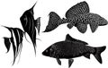 Set of fish silhouettes Royalty Free Stock Photo