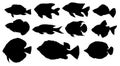 a set of fish silhouettes. a collection of different shapes hand-drawn marine and river isolated fish black silhouettes Royalty Free Stock Photo