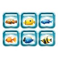 Set of fishes in aquariums illustration.. Vector illustration decorative background design