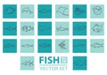 set of fishes. Vector illustration decorative design