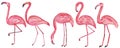 Set of five flamingos on a white background. Hand drawing illustration for design, prints, posters, cards, textiles and patterns Royalty Free Stock Photo