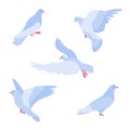 Set of five flat simplified abstract doves. Bird of peace for design cards and banners, peace symbol, pigeon different poses, stay
