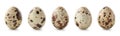 Set of five fresh quail eggs on white background