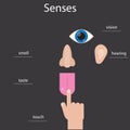 Set of five human senses. Icons of human senses. Infographics about human senses. Royalty Free Stock Photo