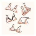 A set of five images of bras. Hand drawn cartoon outlines of tops, bras, bralettes Royalty Free Stock Photo