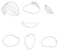 Set of five mangos Royalty Free Stock Photo