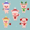 A set of five-pigs in different hats and a scarf with cups of different hot drinks. Happy New Year and Merry Christmas. The symbol Royalty Free Stock Photo