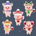 A set of five stickers of pigs in different hats and a scarf with cups of different hot drinks in a white stroke. Happy Royalty Free Stock Photo