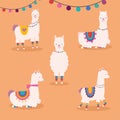 five sweet llamas