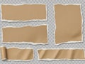 Collection of torn paper pieces Royalty Free Stock Photo