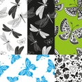 Set of five vector seamless patterns with butterflies