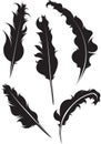Set of five vector silhouette of feathers