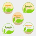 Set five version of organic food logos for web and mobile design Royalty Free Stock Photo