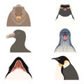 Set of flat antarctic animal icons