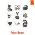 Set of Flat Autumn Icons