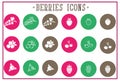 Set of flat berries icons - white, outline print