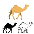 Set of flat camel icon