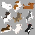 Set of flat colored cute and simple dogs jumping and playing Royalty Free Stock Photo