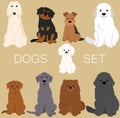 Set of flat colored cute and simple dogs sitting in front view