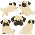 Set of flat colored simple and cute pug illustrations