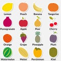 Set of flat colorful fruits icons.