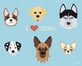 Set of flat cute cartoon dogs