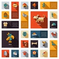 Set of flat design pet shop icons Royalty Free Stock Photo