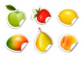 Set of flat fruit stickers.