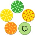 Set of flat fruits and citruses Royalty Free Stock Photo