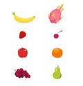 Set of flat Fruits vector white