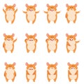 Set of flat hamster icons